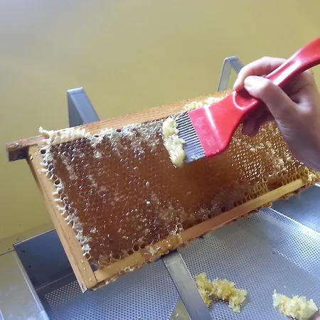 农家乐 阿格里图里斯莫马兹农家乐 Montepulciano Stazione