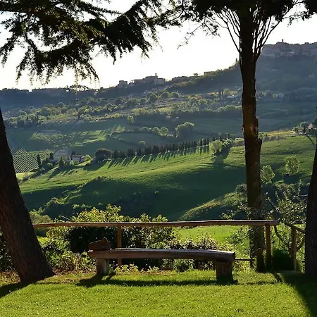 Mazzi Montepulciano